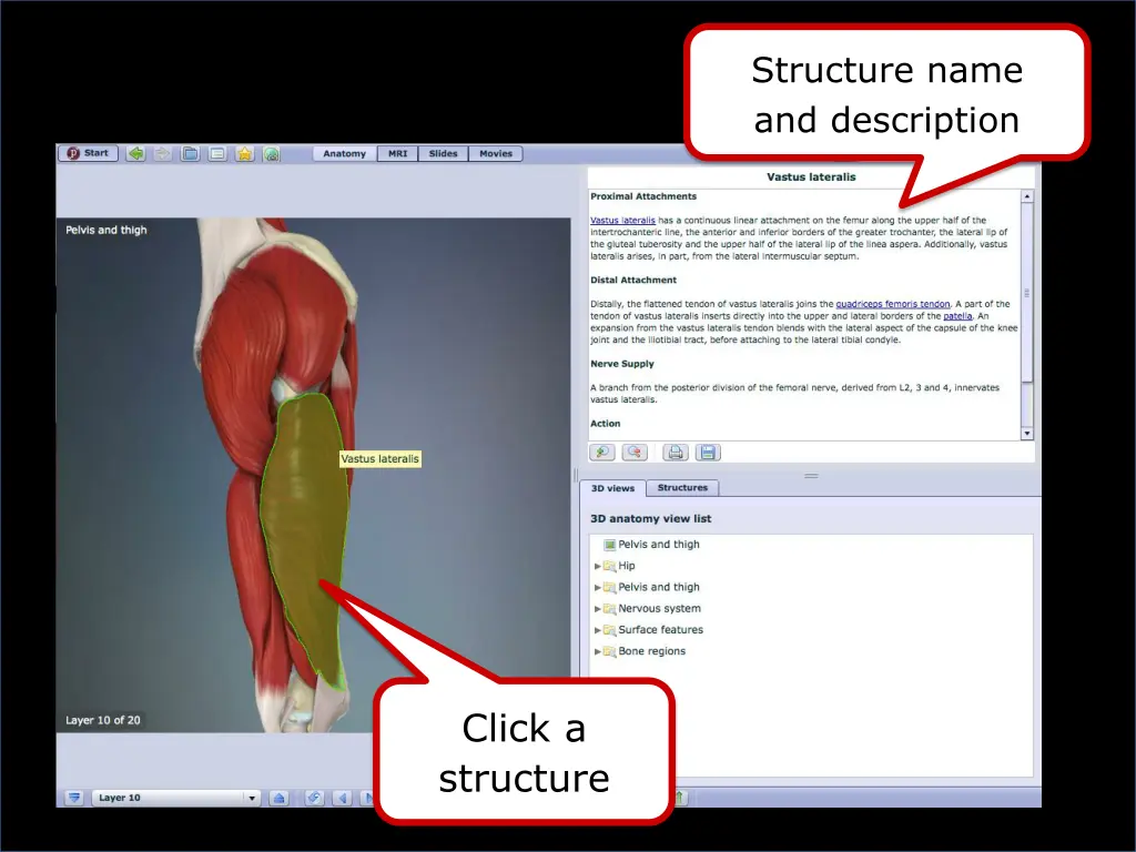 structure name and description