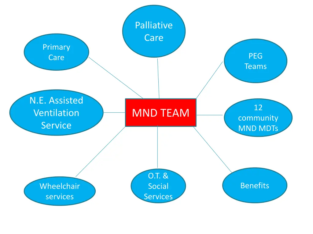palliative care