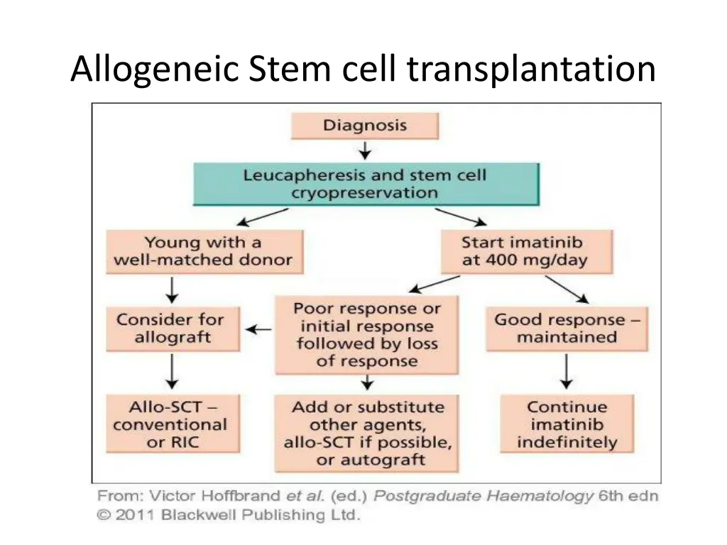 allogeneic stem cell transplantation