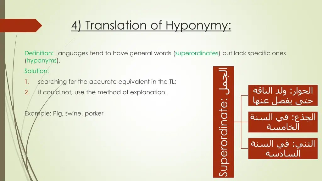 4 translation of hyponymy