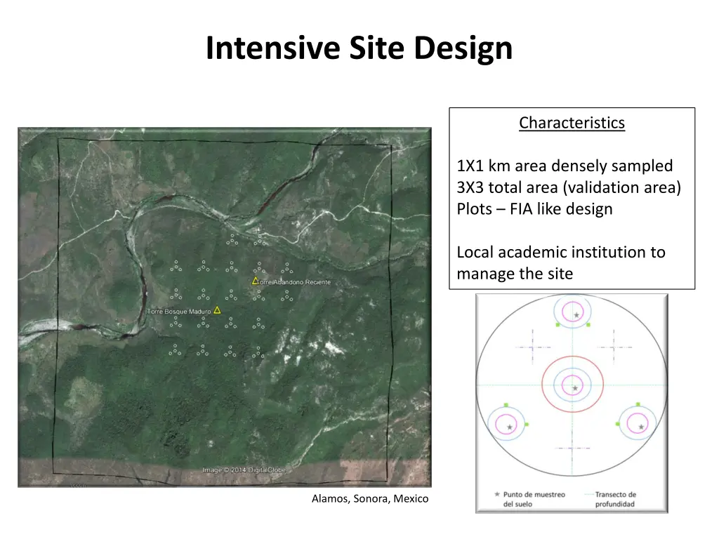 intensive site design