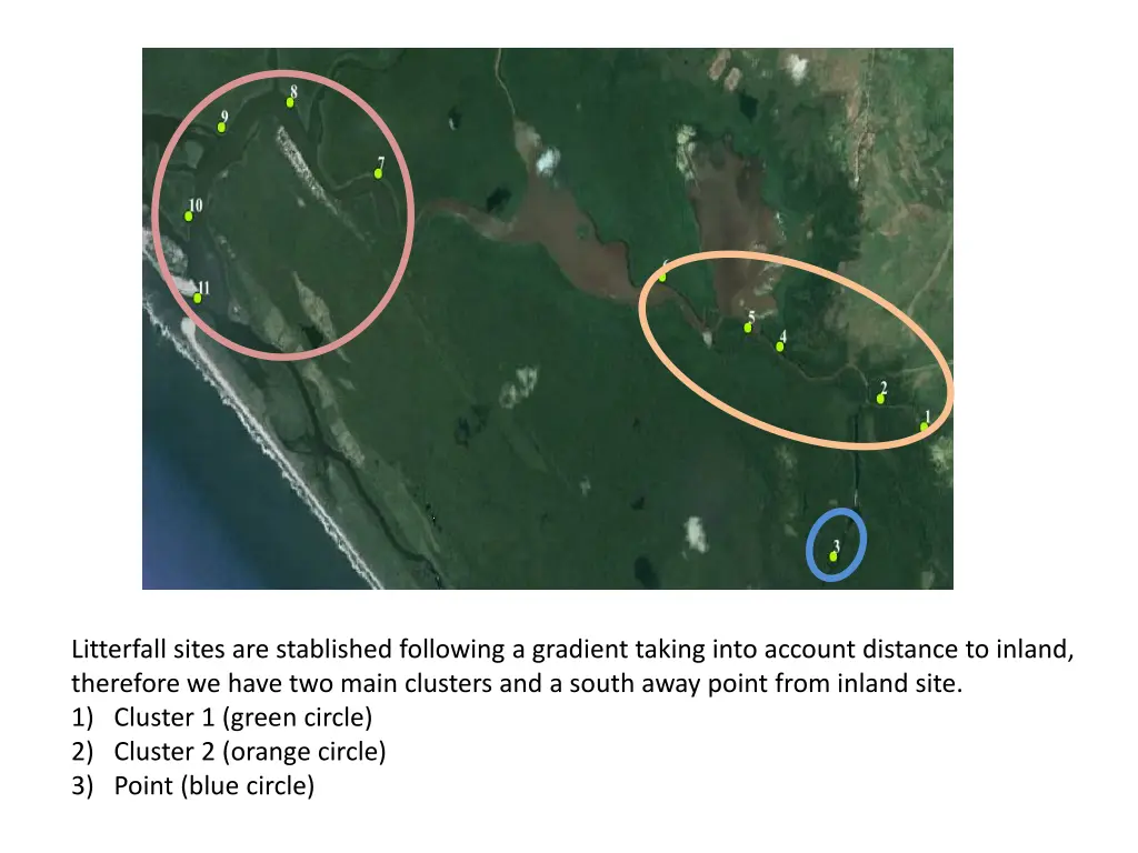 litterfall sites are stablished following