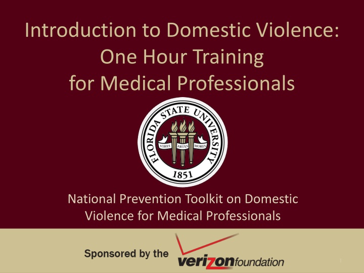 introduction to domestic violence one hour