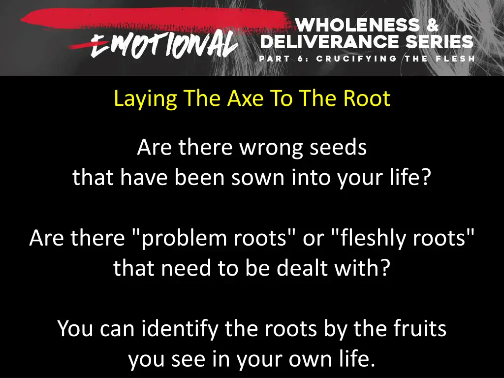 laying the axe to the root 2