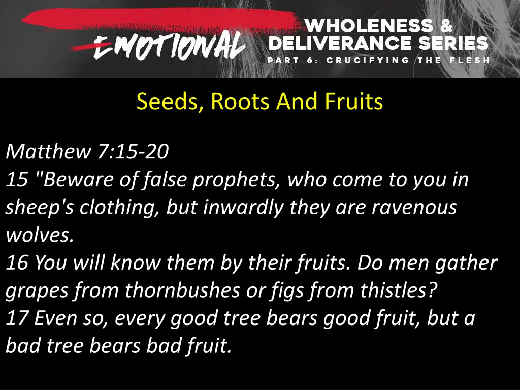 seeds roots and fruits 1