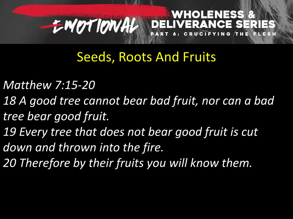 seeds roots and fruits 2