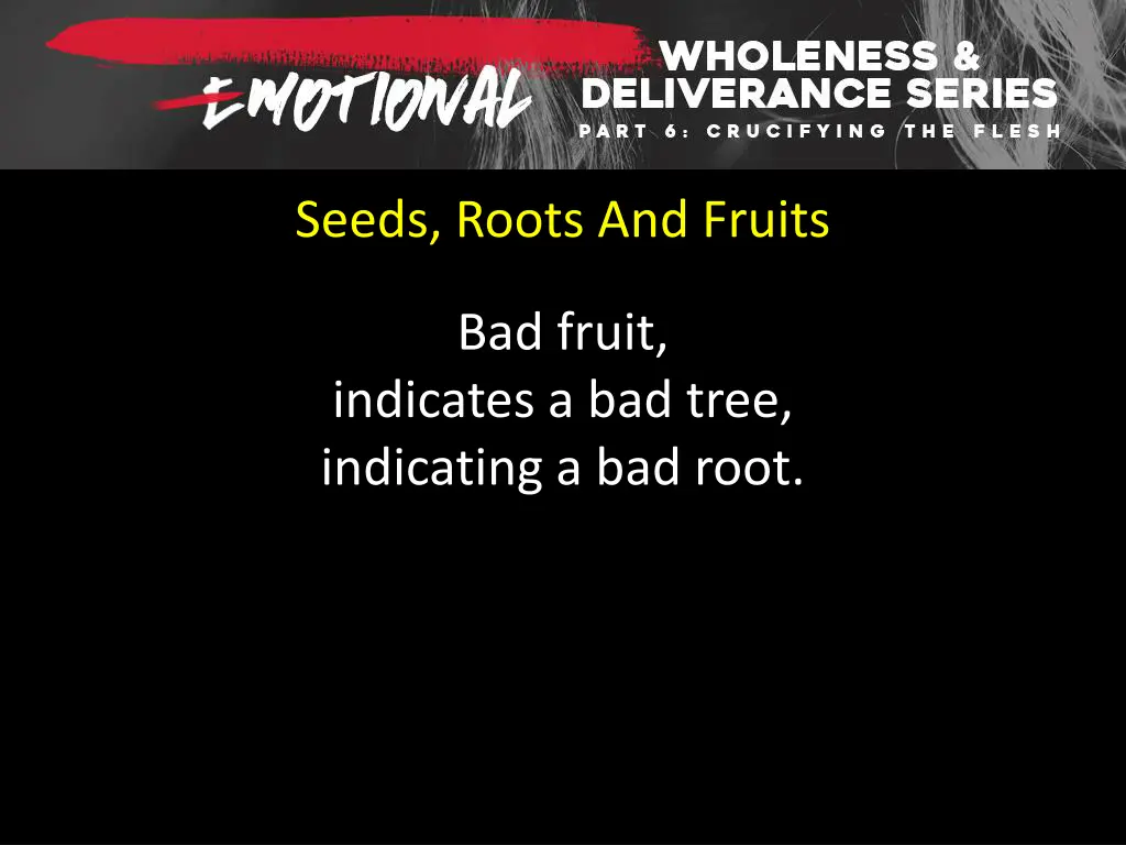 seeds roots and fruits 3