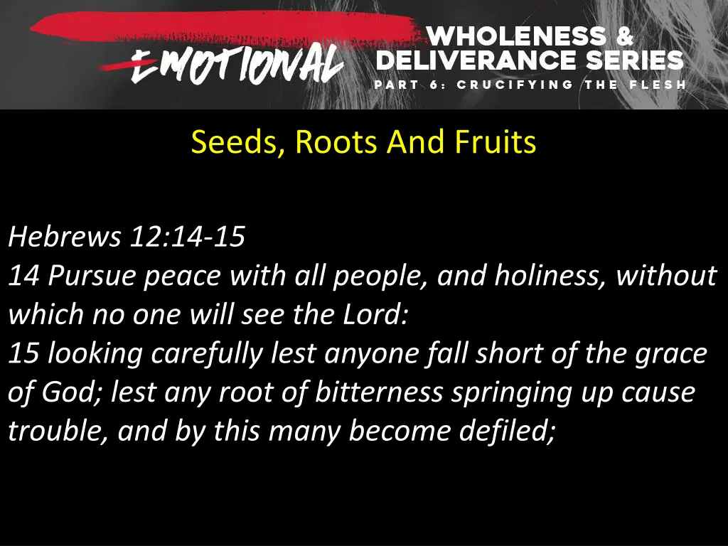 seeds roots and fruits 4