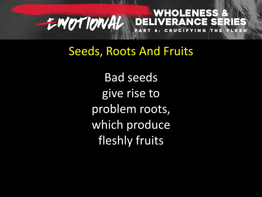 seeds roots and fruits