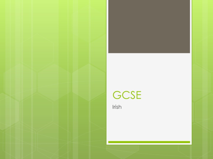 gcse irish