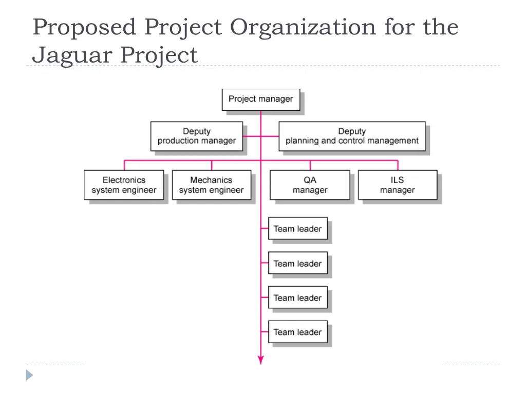 proposed project organization for the jaguar