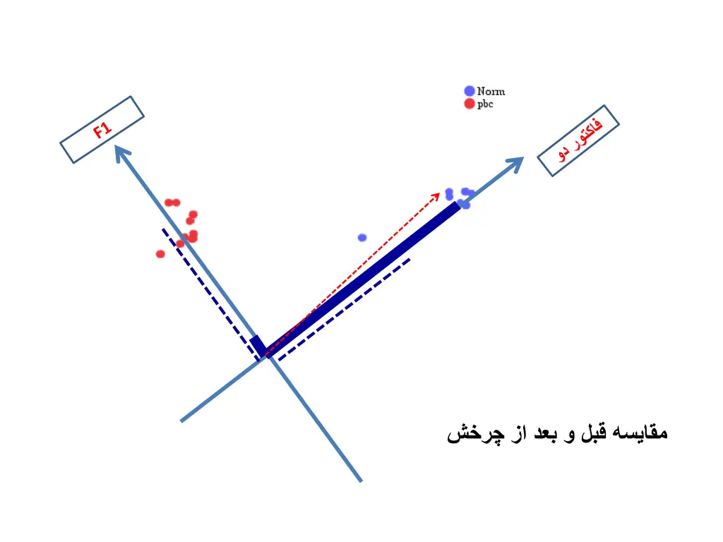 slide37