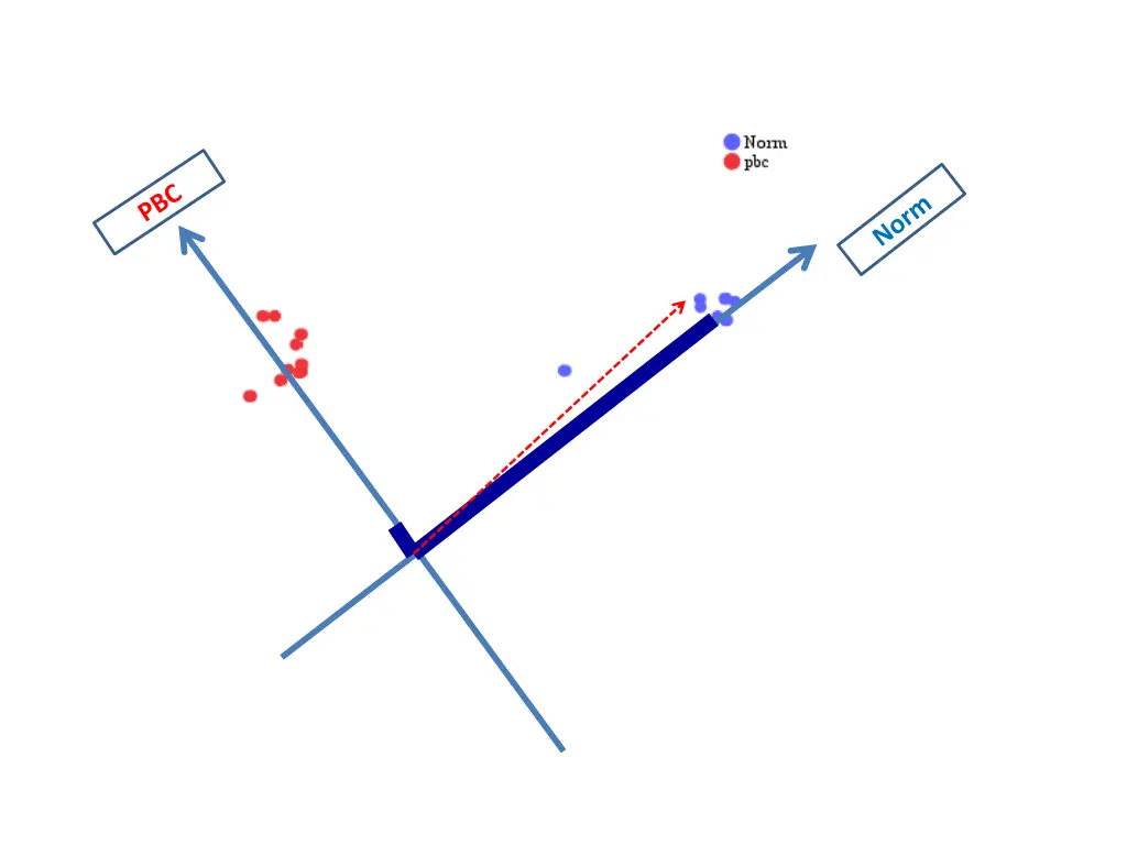 slide38