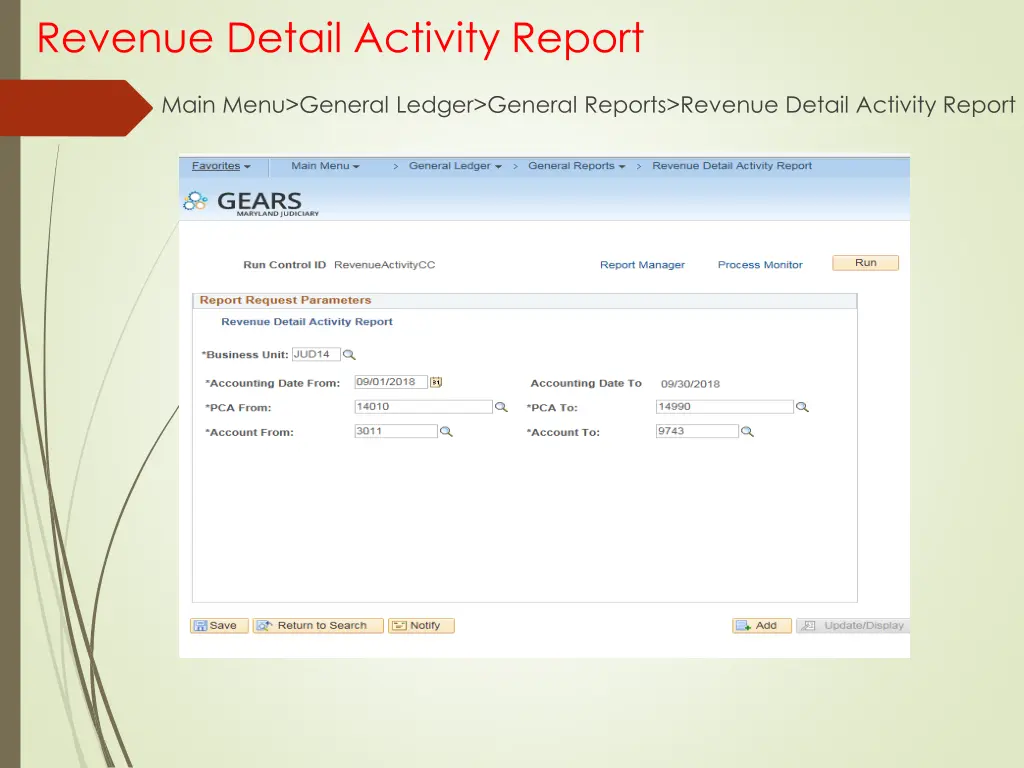 revenue detail activity report