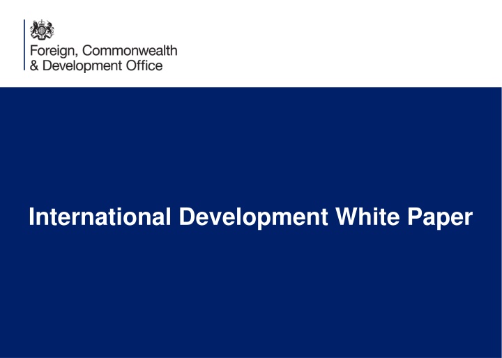 international development white paper