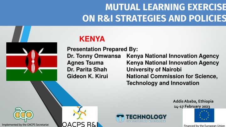 mutual learning exercise on r i strategies