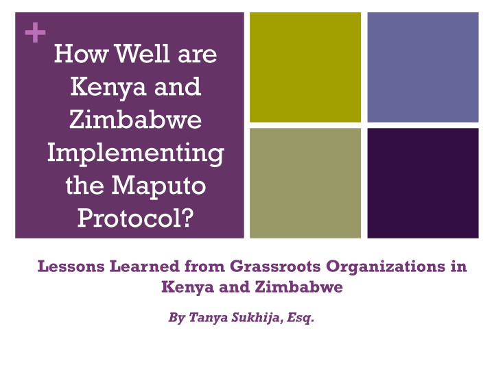 how well are kenya and zimbabwe implementing