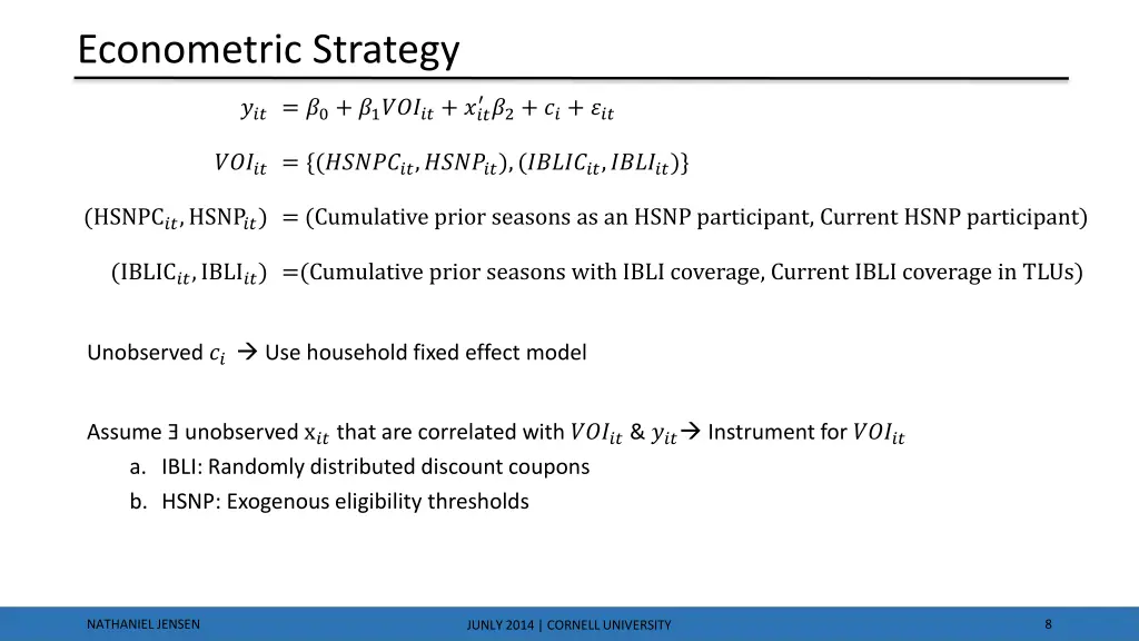 econometric strategy