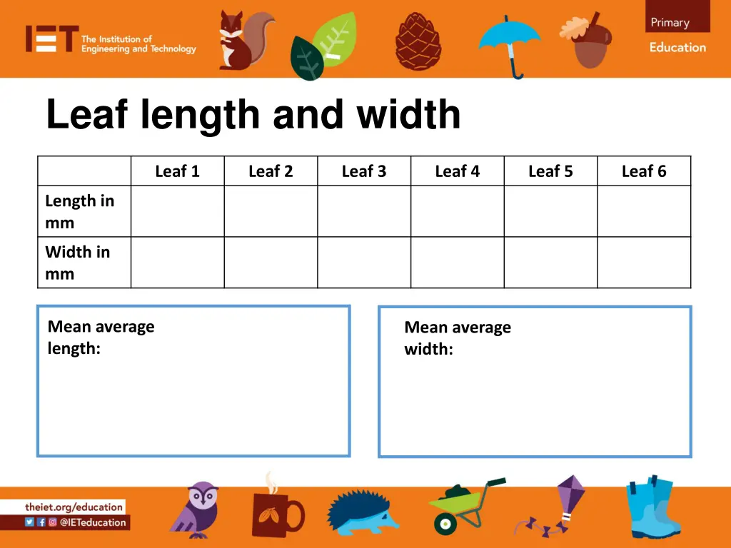 leaf length and width