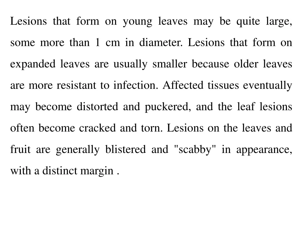 lesions that form on young leaves may be quite