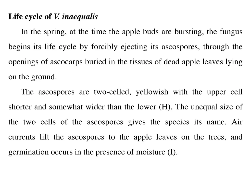 life cycle of v inaequalis