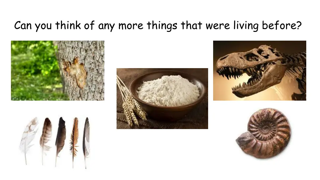 can you think of any more things that were living