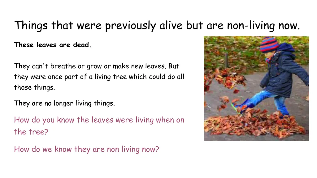 things that were previously alive