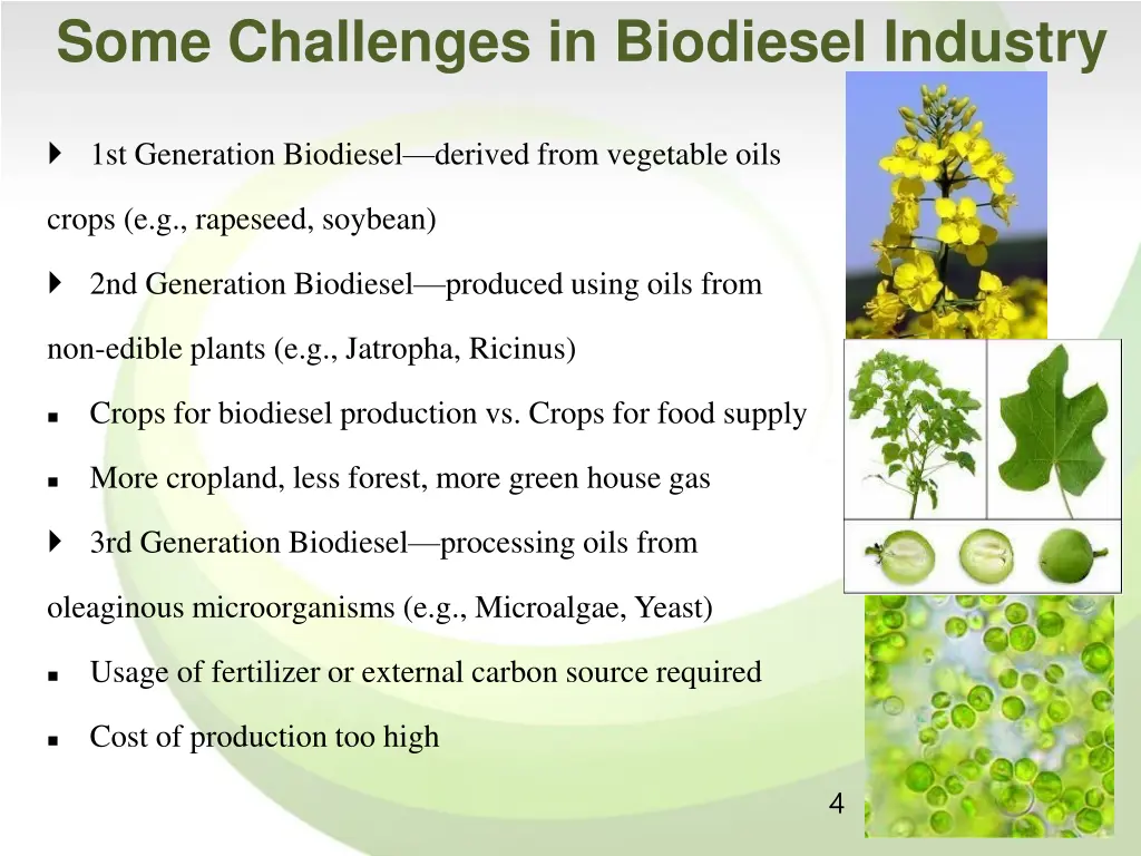some challenges in biodiesel industry