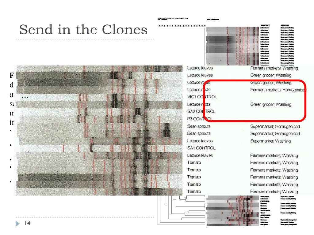 send in the clones
