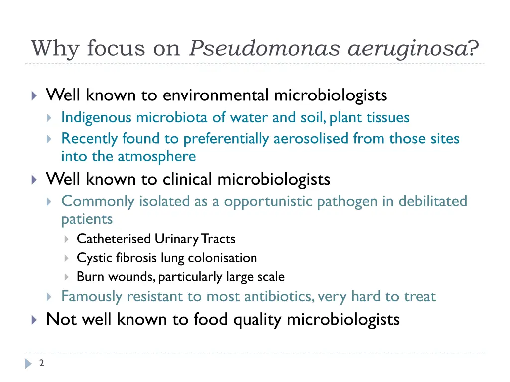 why focus on pseudomonas aeruginosa