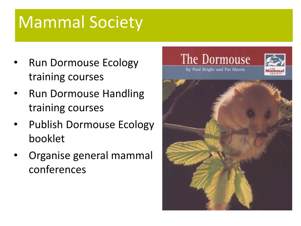 mammal society