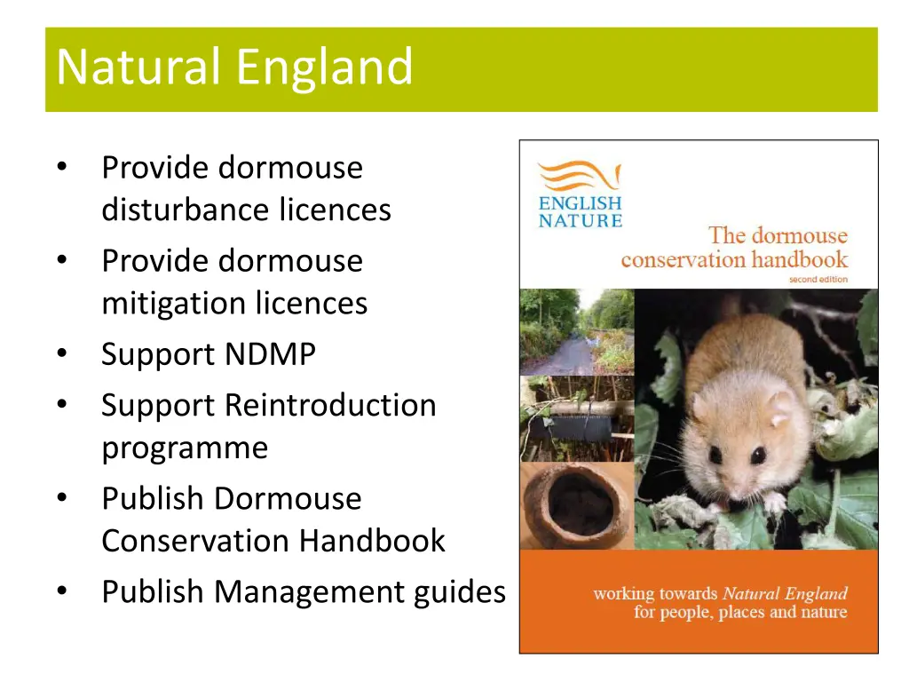 natural england