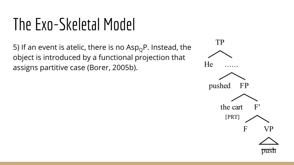 the exo skeletal model 2