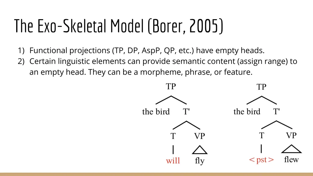 the exo skeletal model borer 2005