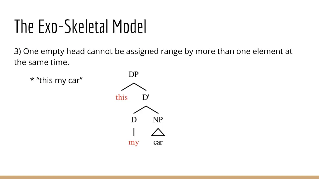 the exo skeletal model