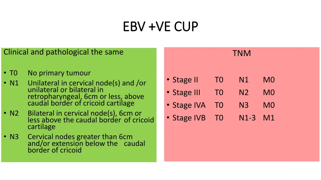 ebv ve cup ebv ve cup