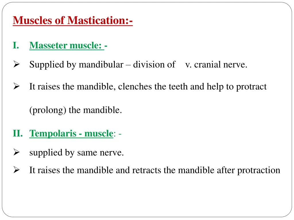 muscles of mastication