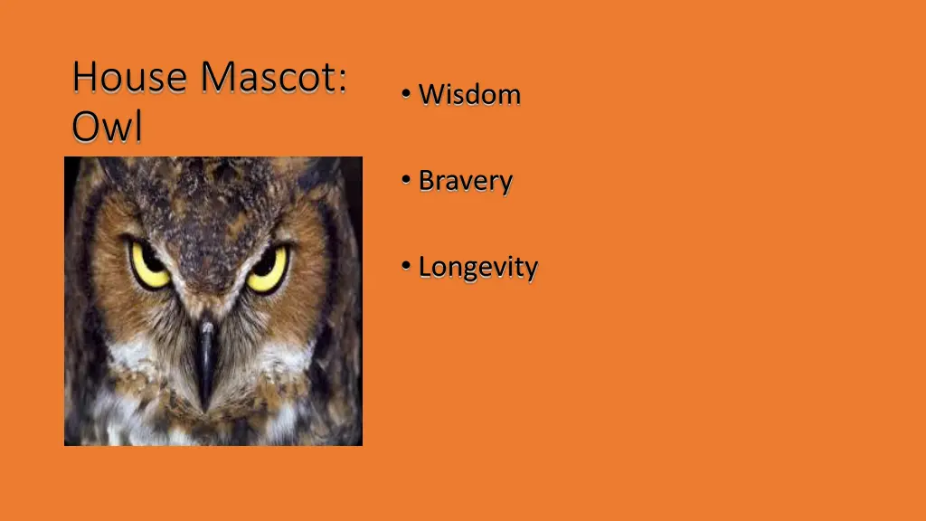 house mascot owl