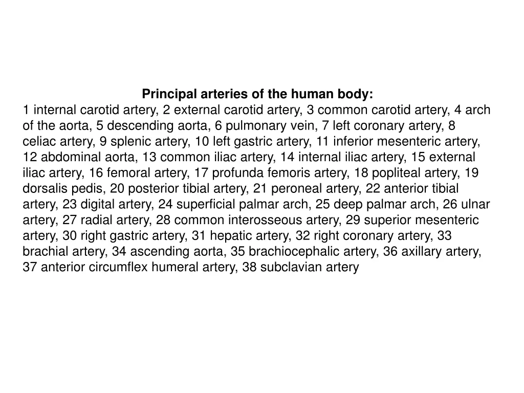 principal arteries of the human body