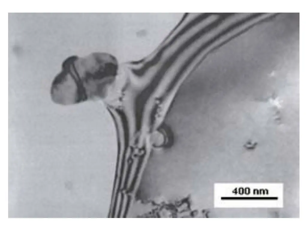 slide9