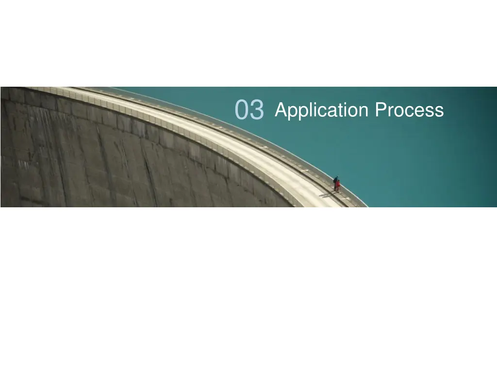03 application process