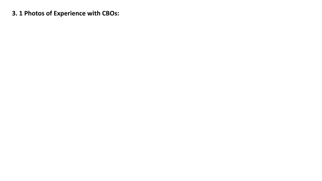 3 1 photos of experience with cbos