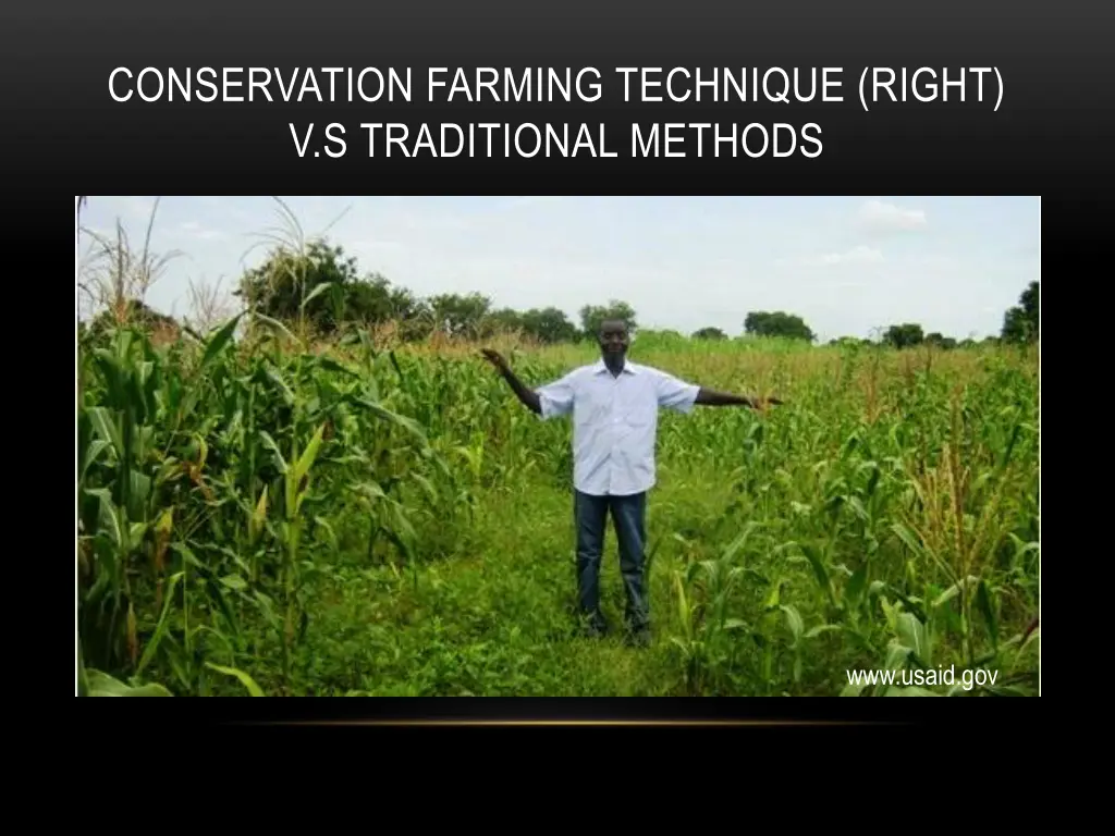 conservation farming technique right