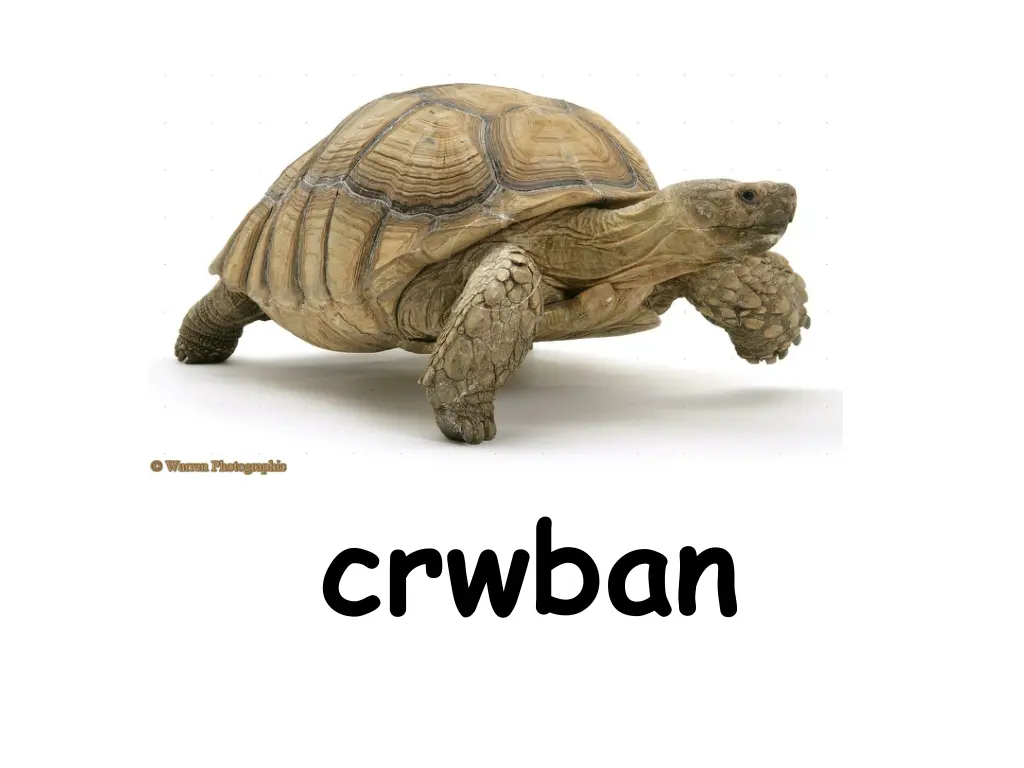 crwban