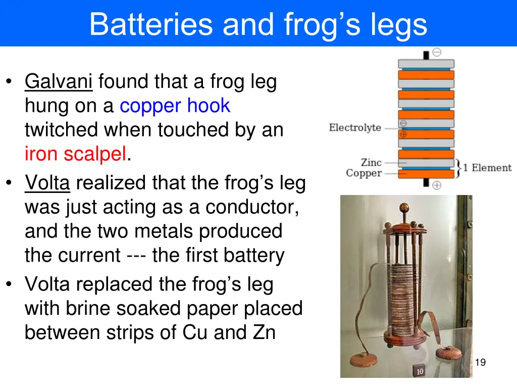 batteries and frog s legs