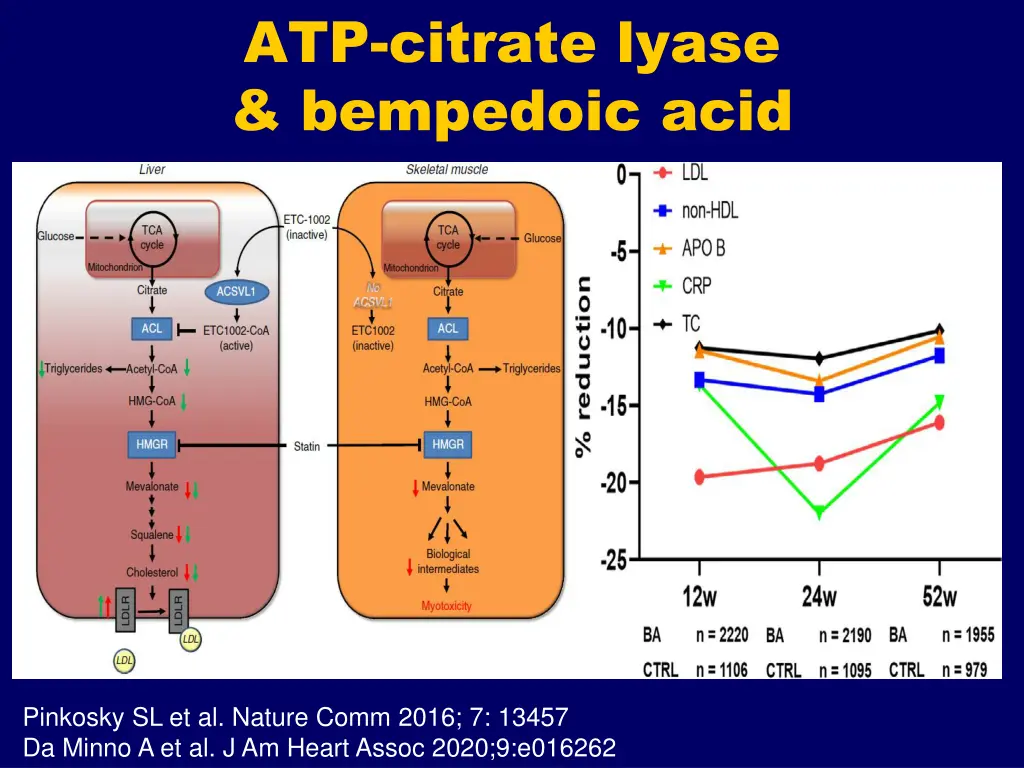 atp citrate lyase bempedoic acid