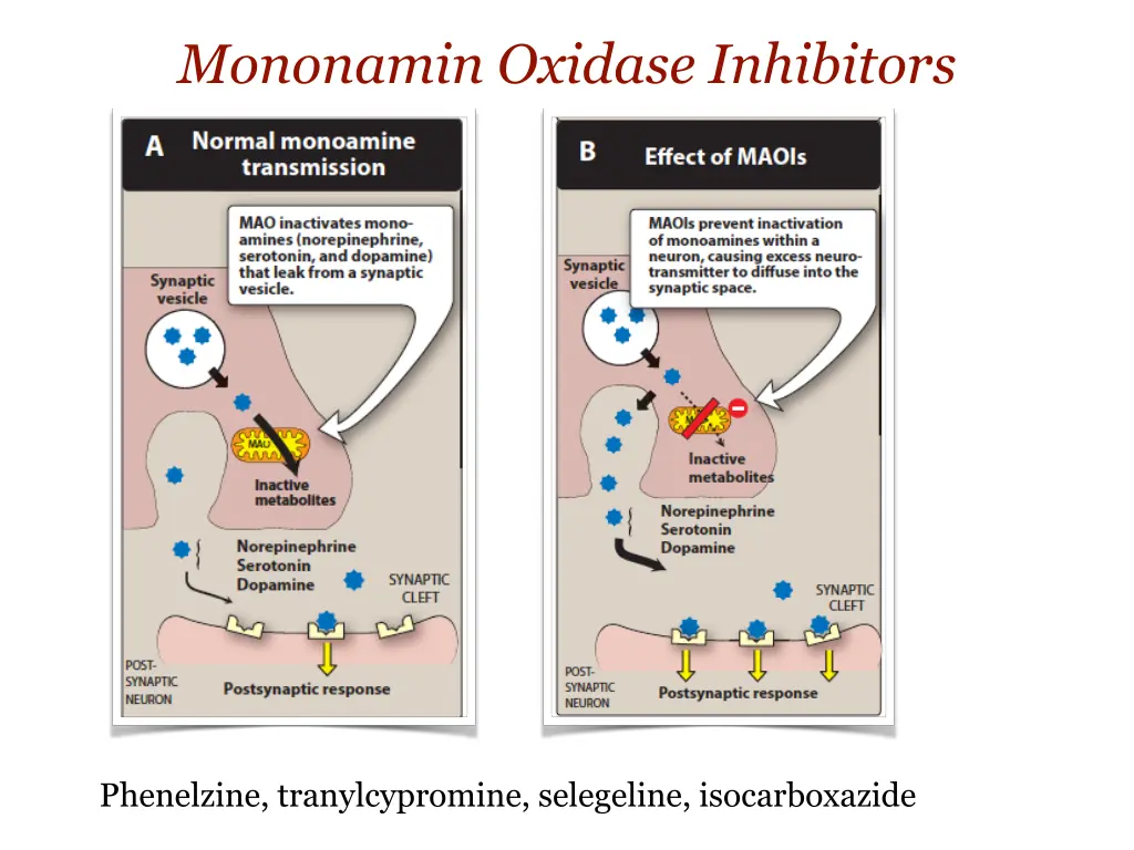 mononamin oxidase inhibitors