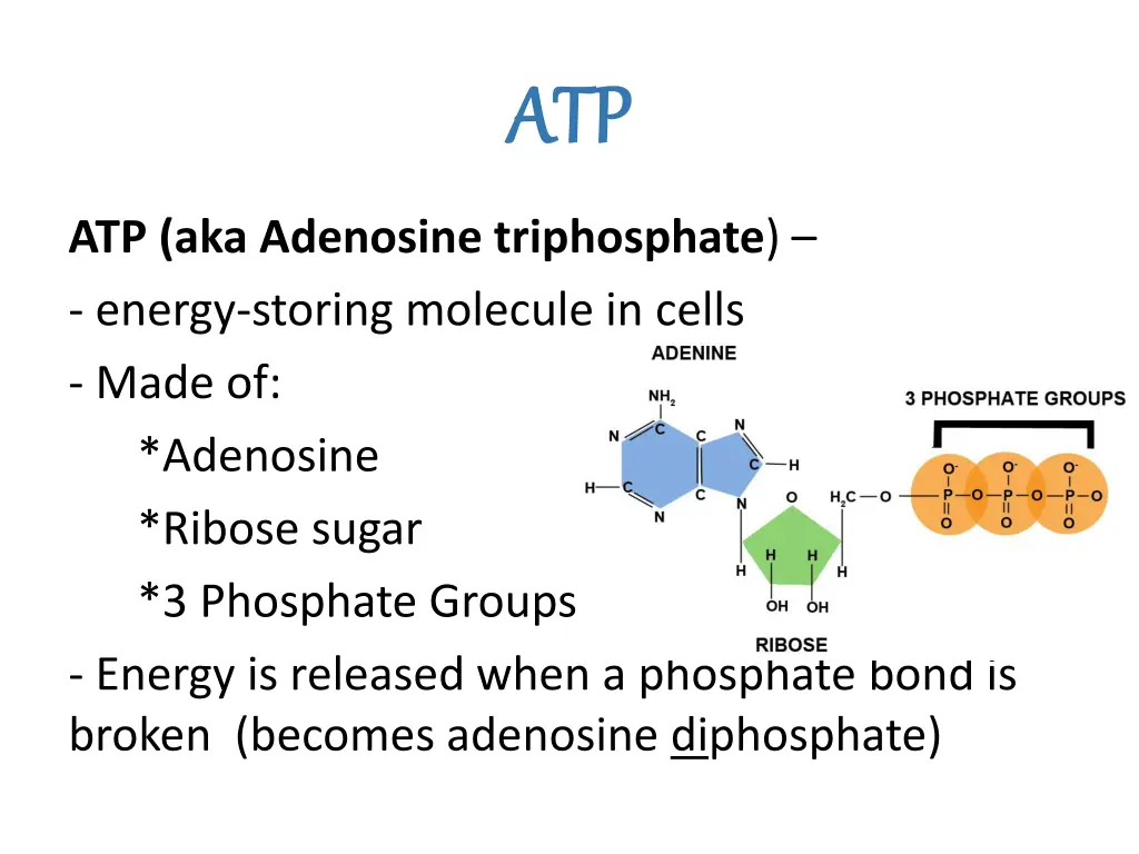 atp atp