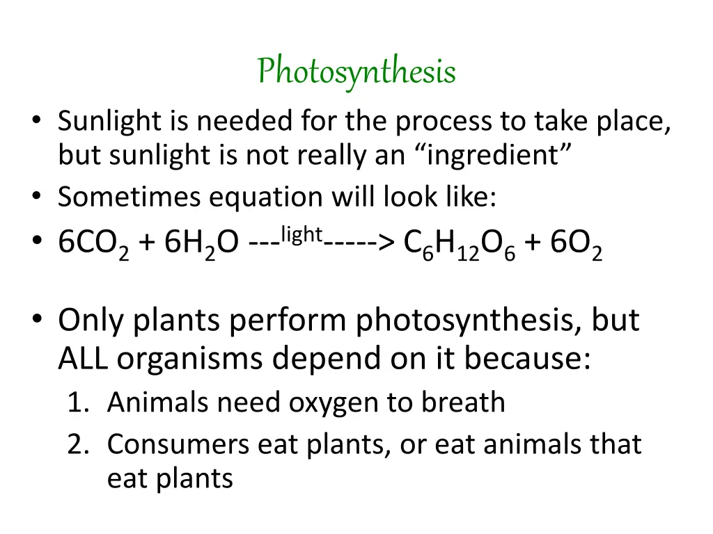 photosynthesis 1
