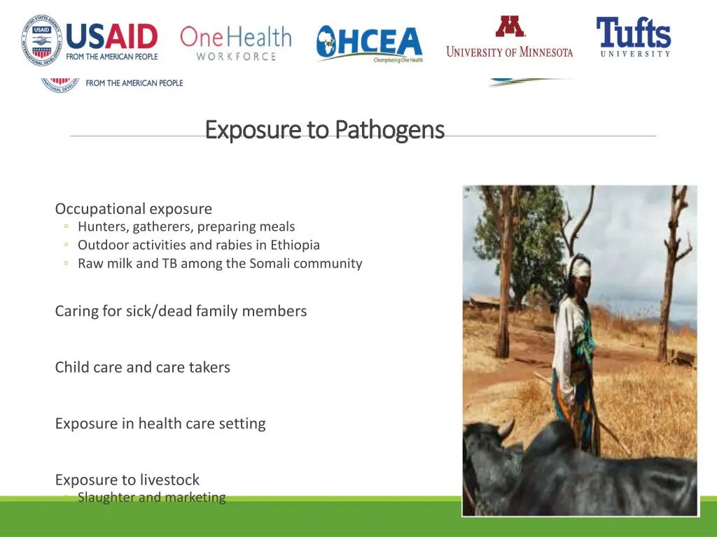 exposure to pathogens exposure to pathogens